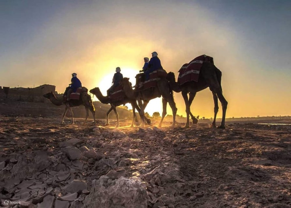 Dinner in Agafay desert from Marrakech & camel riding | ®ExcursionMania