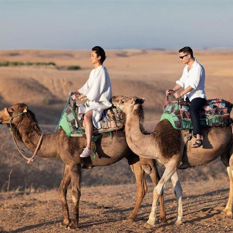 From Marrakech: Agafay Desert Horse ride with sunset | ®ExcursionMania