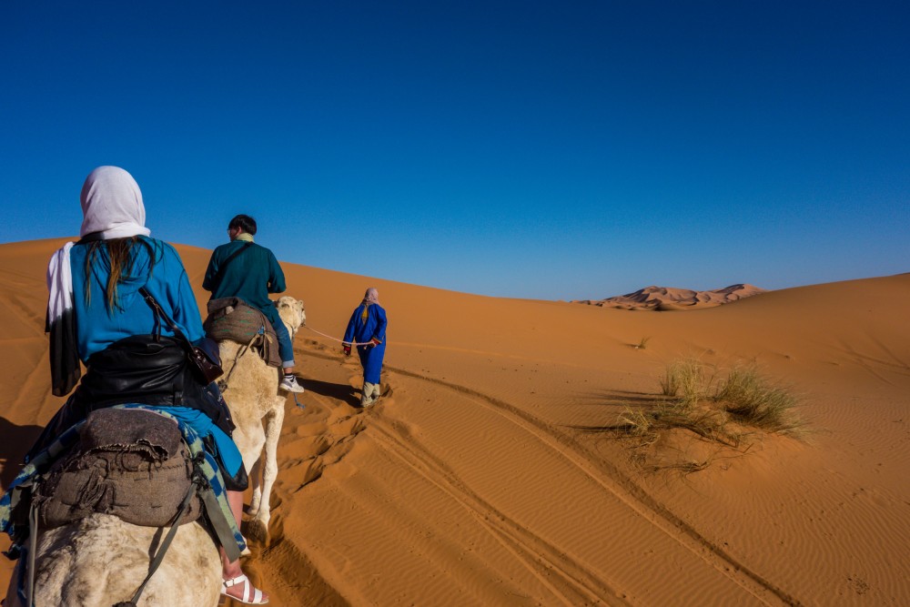 From Marrakech: Agafay Desert Horse ride with sunset | ®ExcursionMania