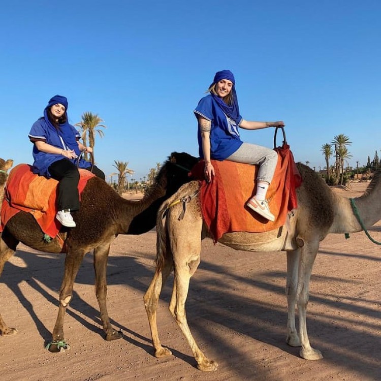 Camel Ride in the Palm Grove of Marrakech | ®ExcursionMania