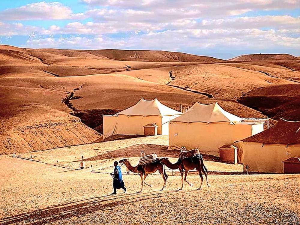 Mystic dinner and camel ride with sunset in Agafay desert | ®ExcursionMania