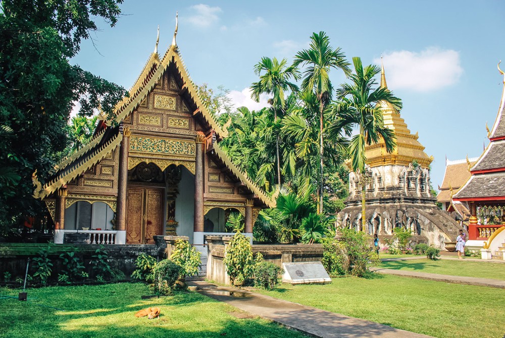 Chiang Mai: Chiang Rai Temples Day Trip With Hot Springs | ®ExcursionMania