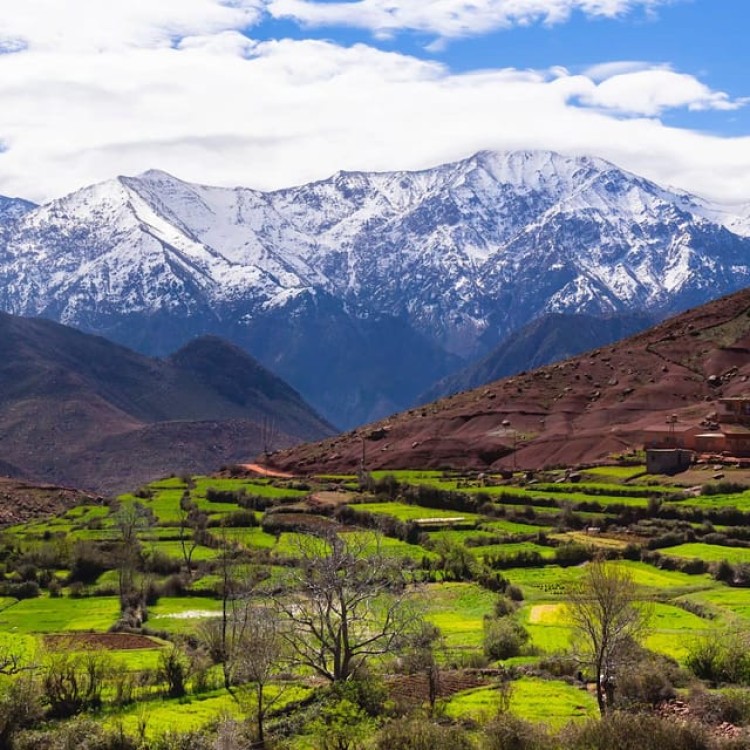 Atlas Mountains: Tedli Summit Day Hike from Marrakech | ®ExcursionMania