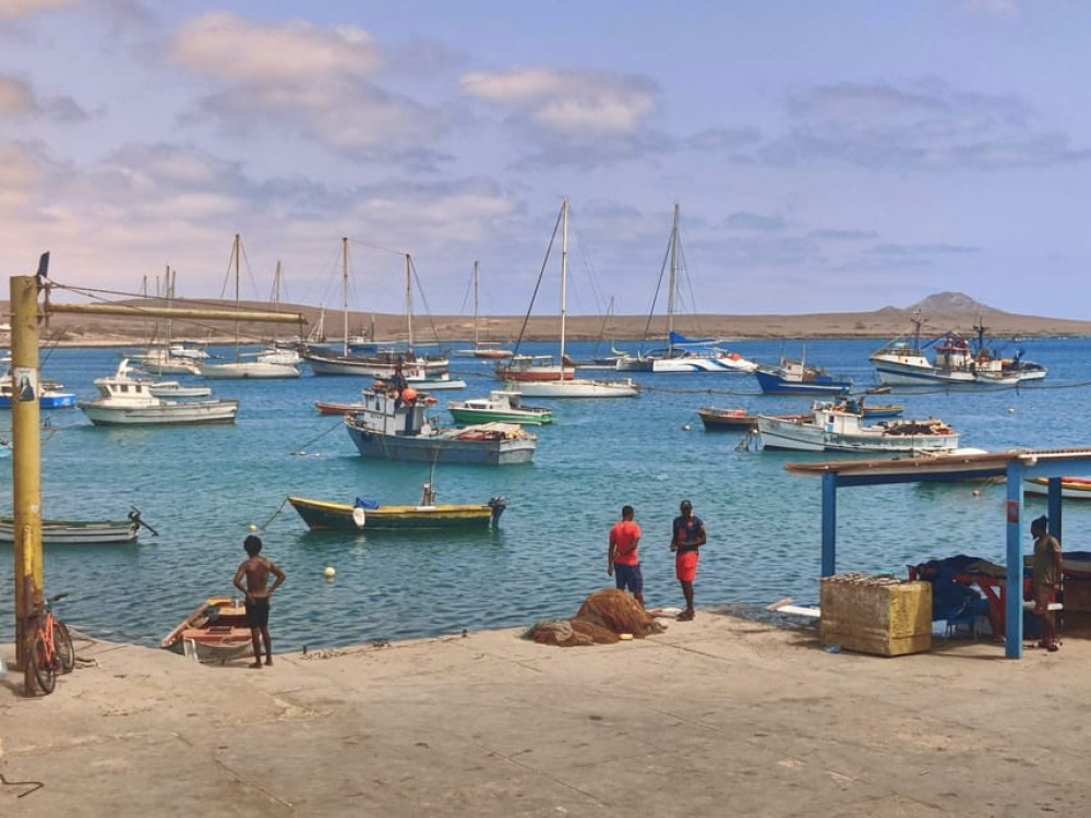 Sal: Island Experience Tour with a Certified Local Guide | ®ExcursionMania