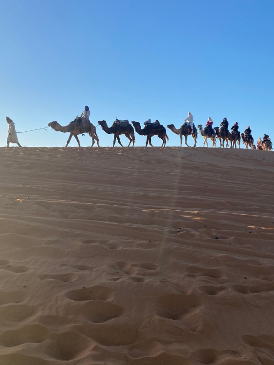 10 Day Desert Tour from Casablanca via the Imperial Cities | ®ExcursionMania