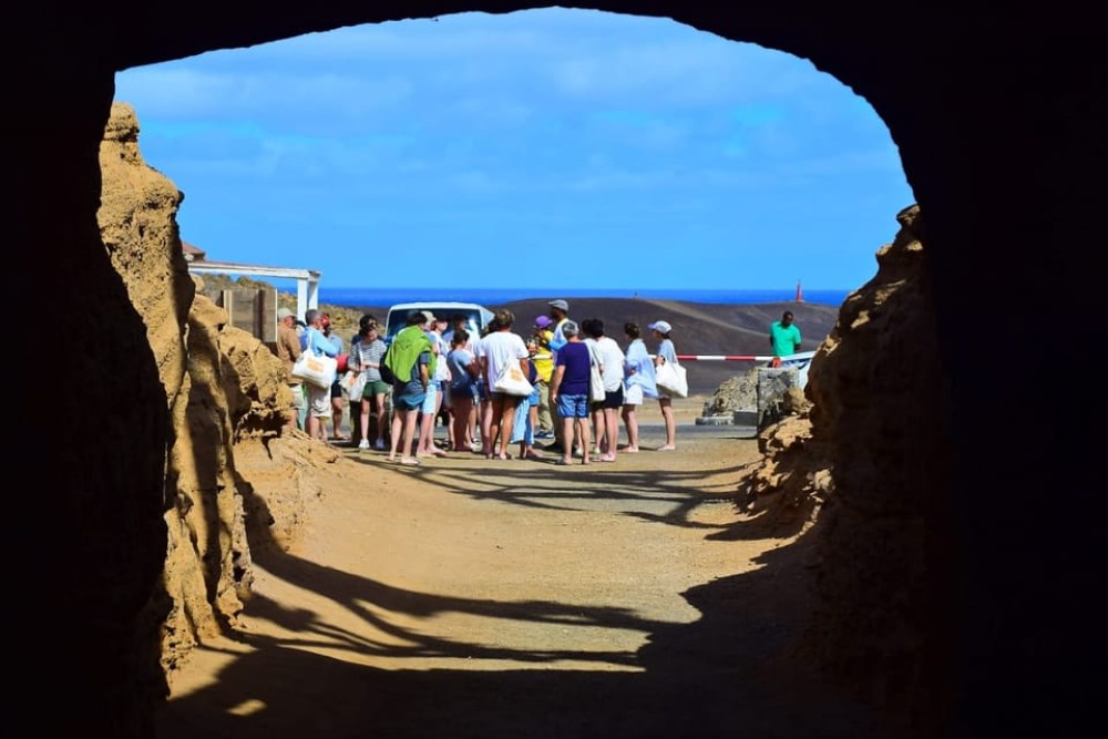 Sal: All-Inclusive Salt Lake, Blue Eye and Shark Bay Tour | ®ExcursionMania