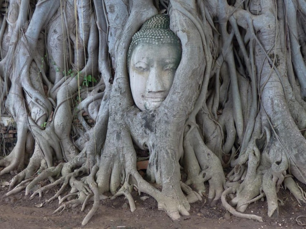 Bangkok: Ayutthaya & Local Market Tour In Spanish or English | ®ExcursionMania