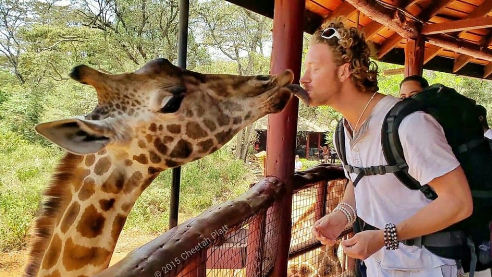 Nairobi: National Park, Elephant Orphanage, & Giraffe Center | ®ExcursionMania