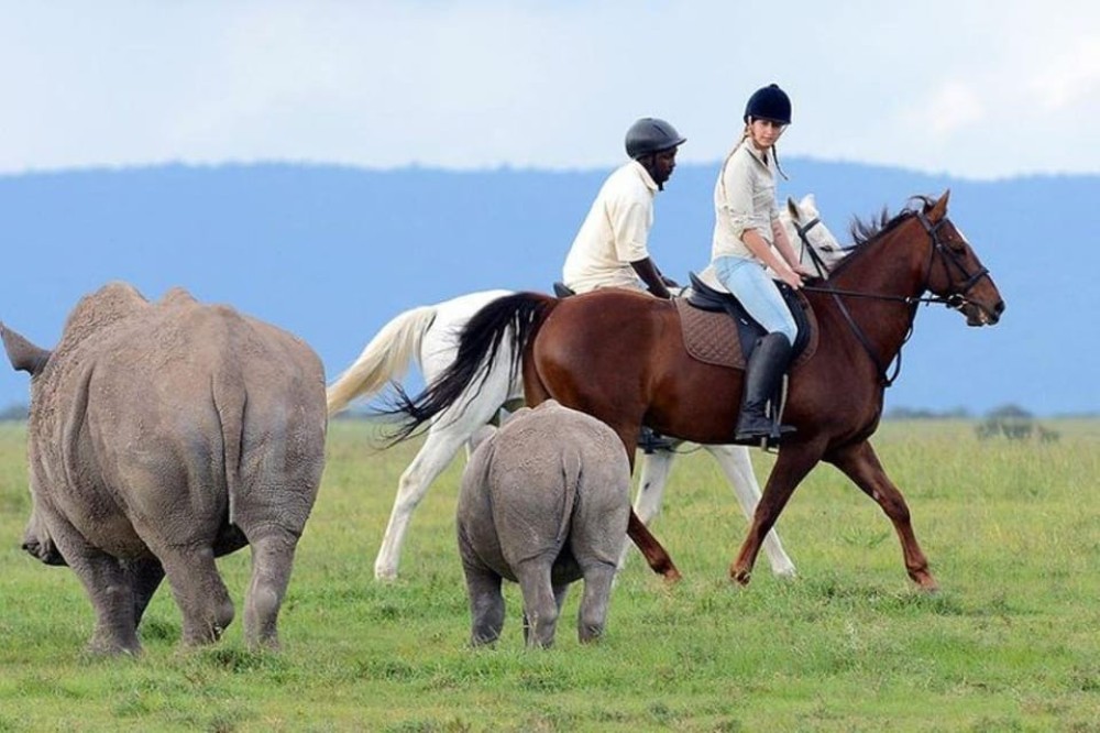 Nairobi: Ol Pejeta Day Tour from Nairobi | ®ExcursionMania