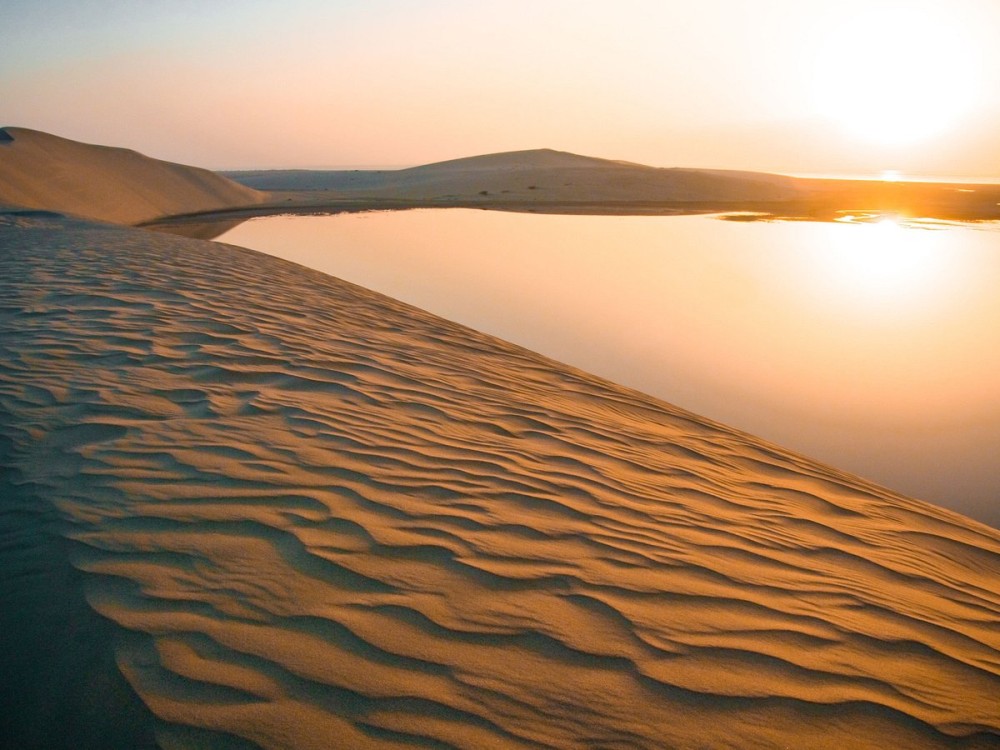 Doha: Full Day Desert Safari With BBQ Dinner | ®ExcursionMania