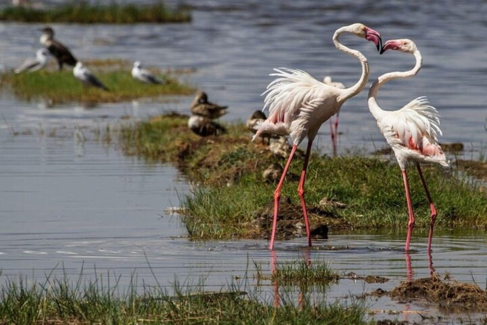 From Nairobi: Overnight Lake Nakuru and Hells Gate | ®ExcursionMania