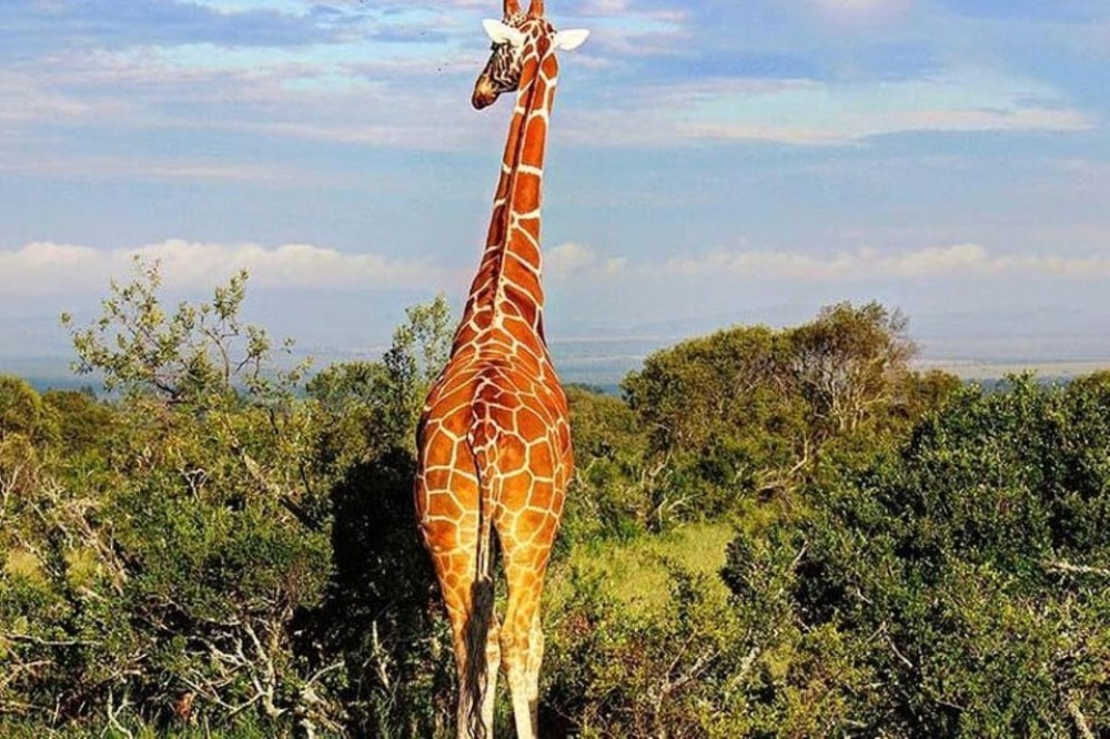 From Nairobi: Overnight Lake Nakuru and Hells Gate | ®ExcursionMania
