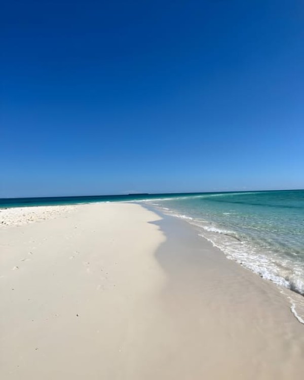 Zanzibar: Private Full-Day Tour with Lunch and Snorkeling | ®ExcursionMania