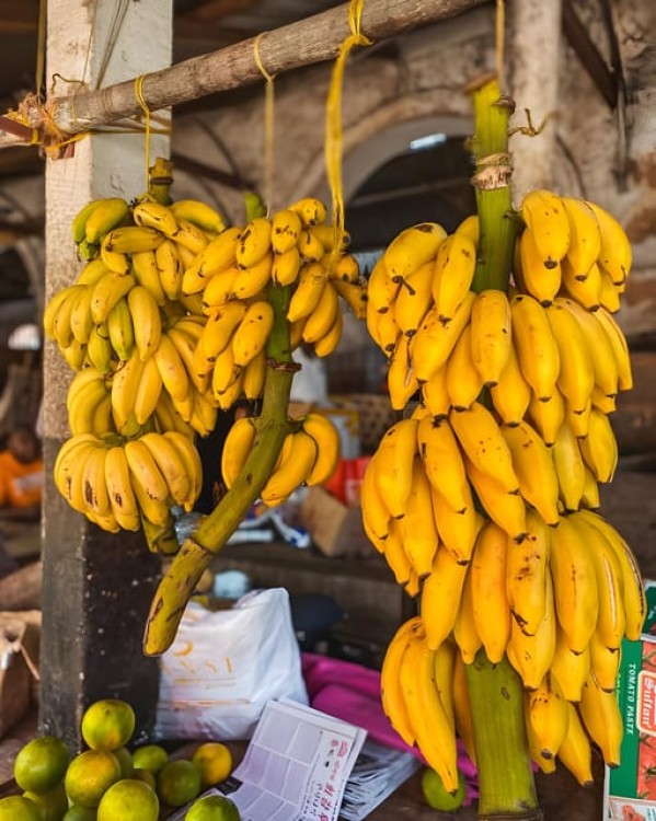 Zanzibar: Private Full-Day Tour with Lunch and Snorkeling | ®ExcursionMania