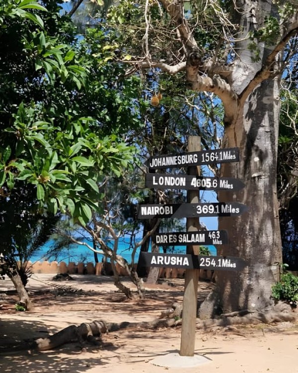 Zanzibar: Private Full-Day Tour with Lunch and Snorkeling | ®ExcursionMania