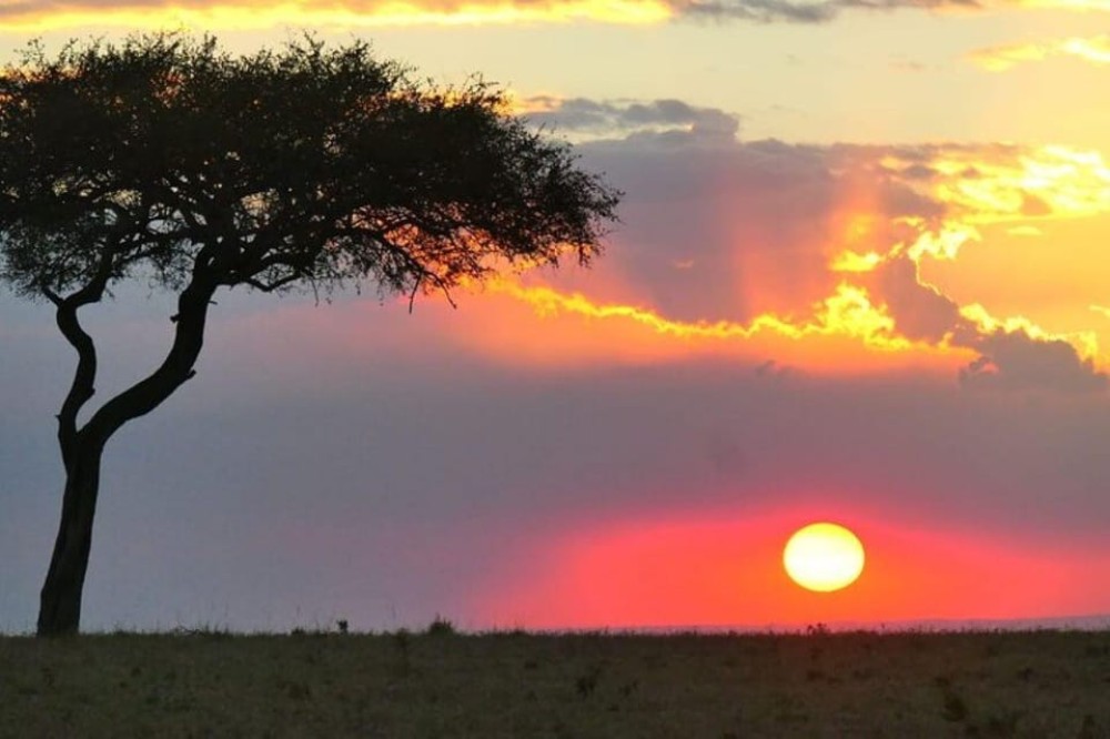 From Nairobi: Overnight Amboseli National Park Safari | ®ExcursionMania