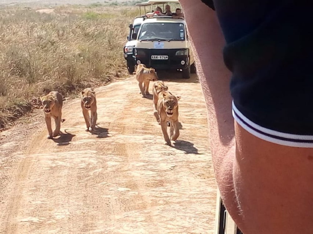 Arusha National Park: Private Jeep Tour | ®ExcursionMania