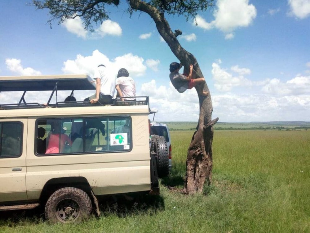 Arusha National Park: Private Jeep Tour | ®ExcursionMania