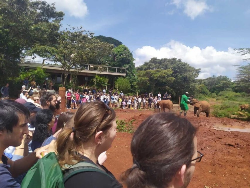 Nairobi: Private Elephant Orphanage Tour | ®ExcursionMania