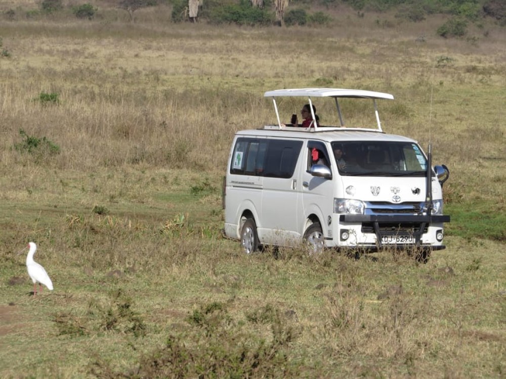 Nairobi National Park: Sunrise and Sunset Tours | ®ExcursionMania