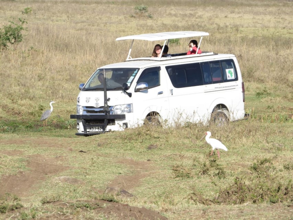 Nairobi National Park: Sunrise and Sunset Tours | ®ExcursionMania