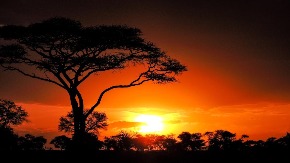 Nairobi National Park: Sunrise and Sunset Tours | ®ExcursionMania