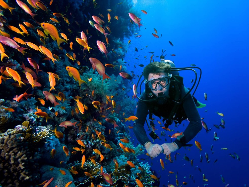 Sarigerme Diving Tour Experience With Hotel Transfer | ®ExcursionMania