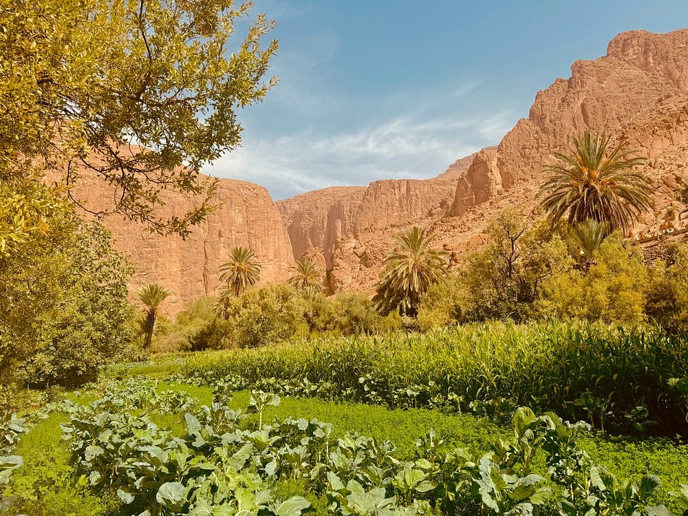 From Fes To Marrakech : 3 days Tour Via The Desert Of Merzouga | ®ExcursionMania