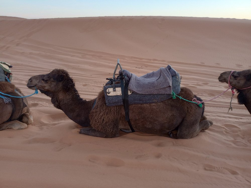 From Fes To Marrakech : 3 days Tour Via The Desert Of Merzouga | ®ExcursionMania