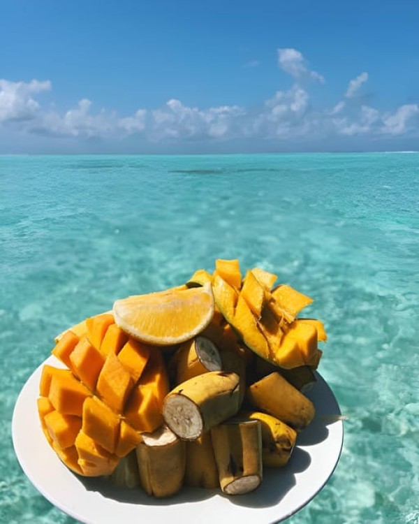 Zanzibar: Dolphin Tour, Snorkeling, and Sandbank Trip | ®ExcursionMania