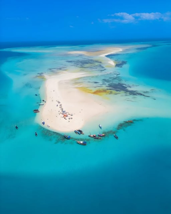 Zanzibar Safari blue: Snorkeling & Sandbank Tour With Lunch | ®ExcursionMania
