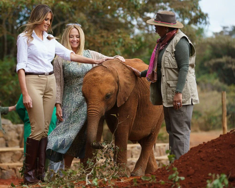 Nairobi: Elephants, Giraffes, Karen Blixen & Bomas Tour | ®ExcursionMania