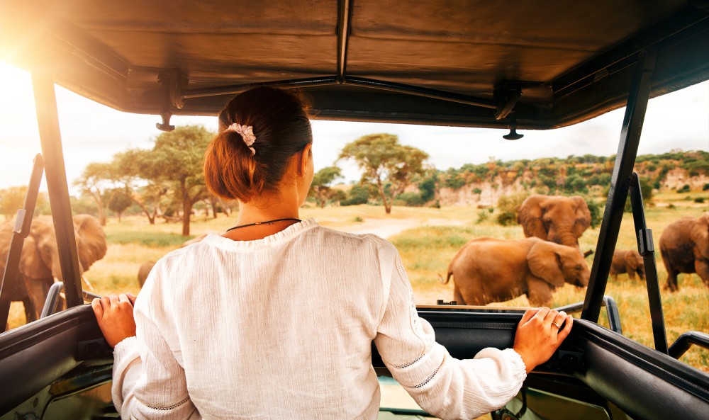 Nairobi: Elephants, Giraffes, Karen Blixen & Bomas Tour | ®ExcursionMania