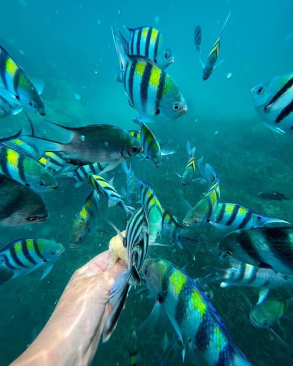 Zanzibar: Bawe Island Snorkeling | ®ExcursionMania