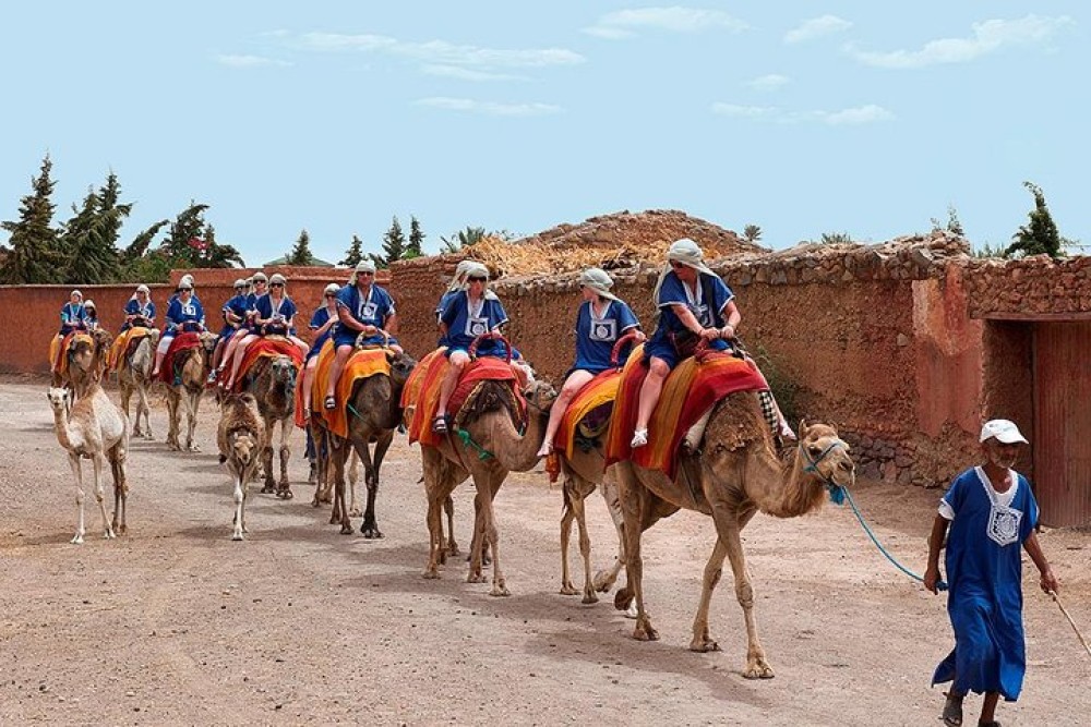Sunset Tour & Dromedary Ride At Palm Grove Of Marrakech | ®ExcursionMania