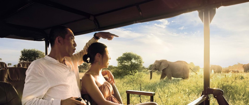 From Arusha: Lake Manyara National Park Full-Day Trip | ®ExcursionMania
