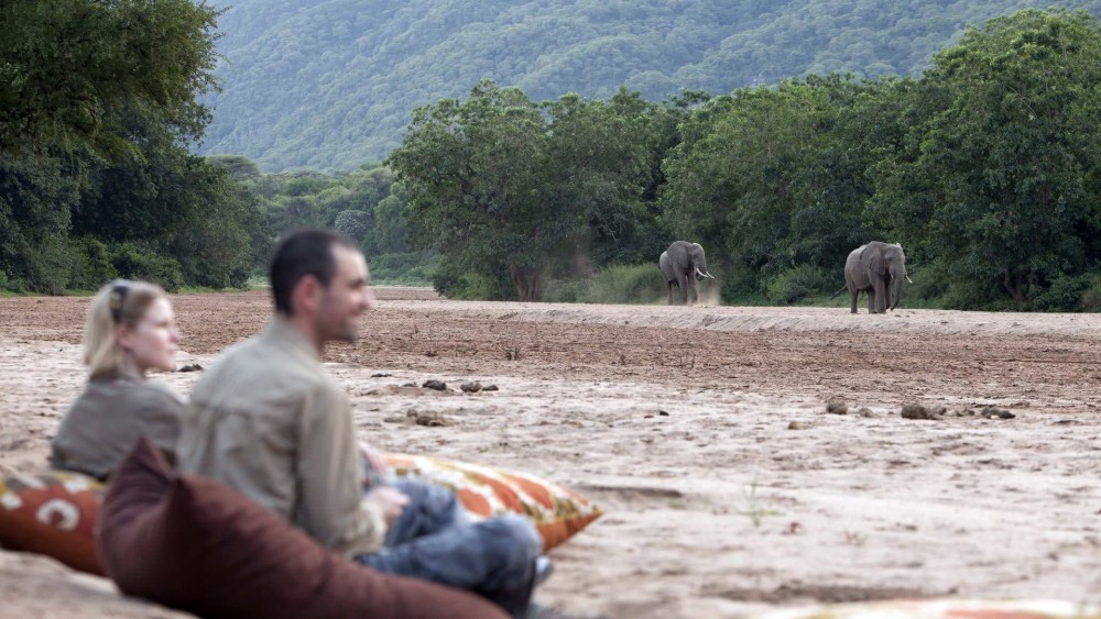 From Arusha: Lake Manyara National Park Full-Day Trip | ®ExcursionMania
