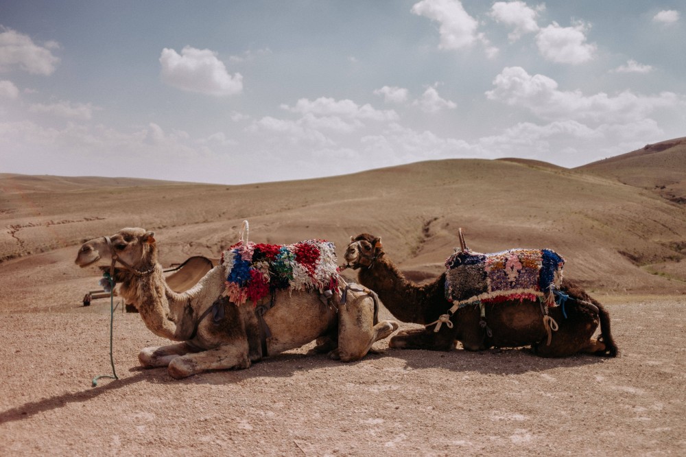 Agafay Desert & Sunset Camel Ride From Marrakech | ®ExcursionMania