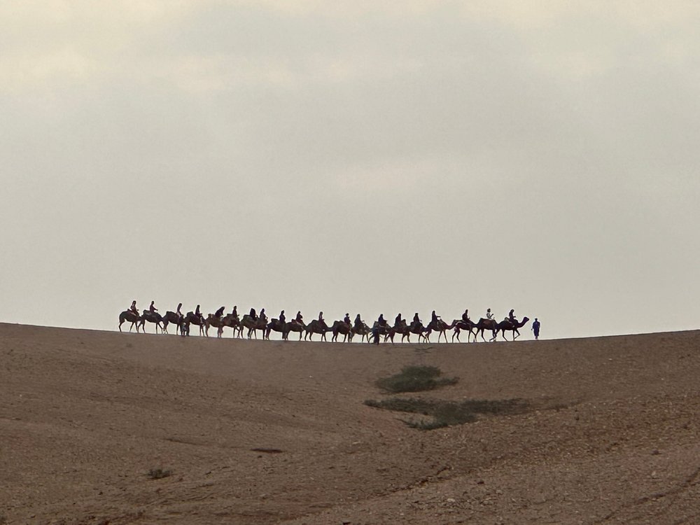 Agafay Desert & Sunset Camel Ride From Marrakech | ®ExcursionMania