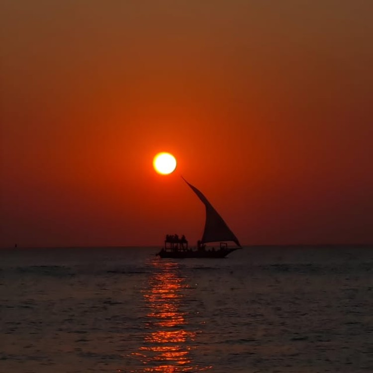 Zanzibar: Nungwi and Kendwa Sunset Dhow Cruise with Transfer | ®ExcursionMania