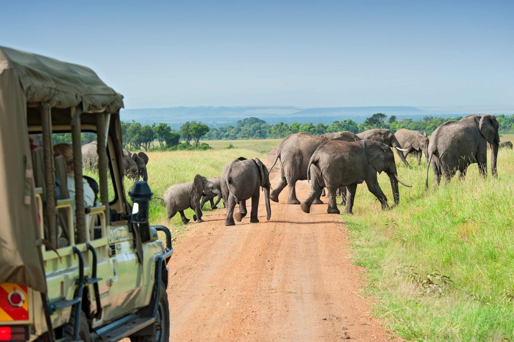 Nairobi: 3-Day Maasai Mara Safari | ®ExcursionMania
