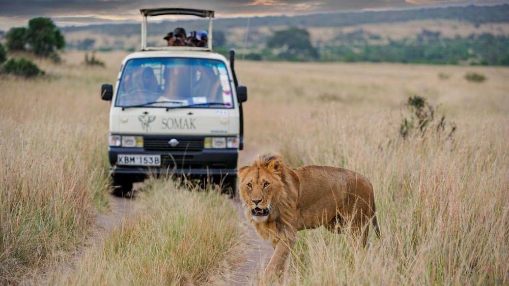Tsavo East National Park: 2-Day Tour from Mombasa | ®ExcursionMania