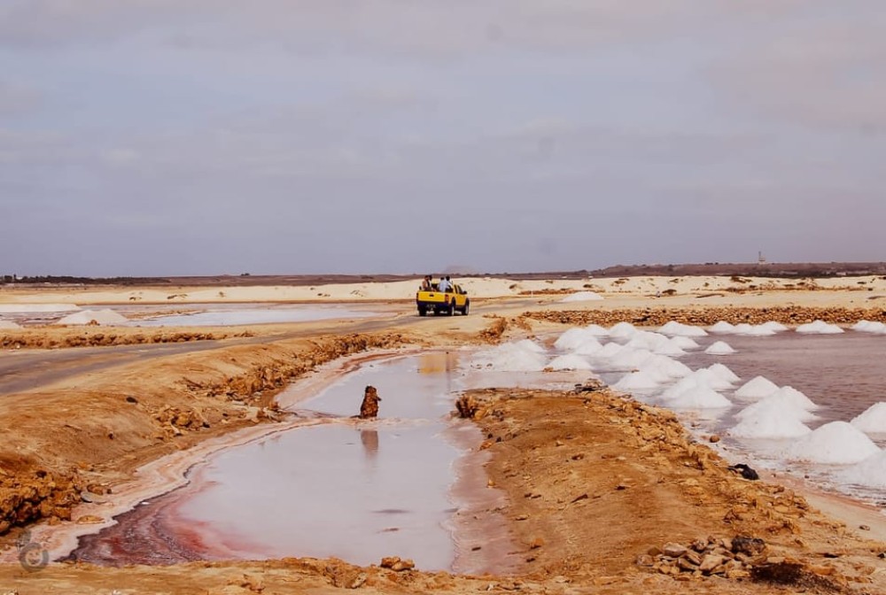 Sal island: Guided Historical and Cultural Tour | ®ExcursionMania