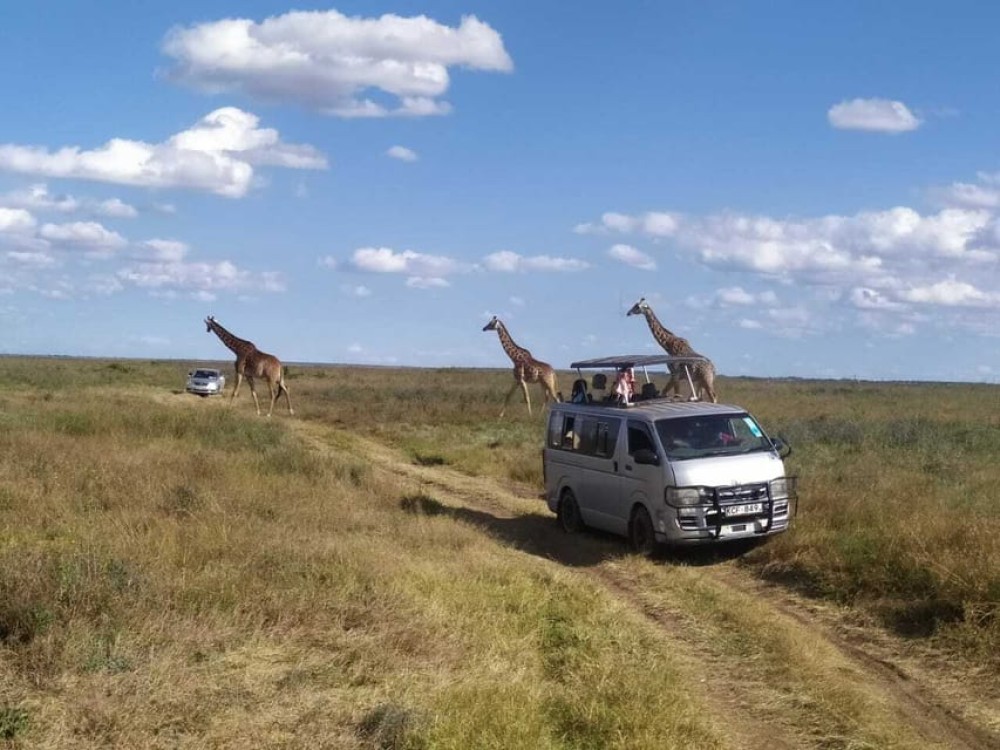Lake Nakuru National Park Day Tour from Nairobi | ®ExcursionMania
