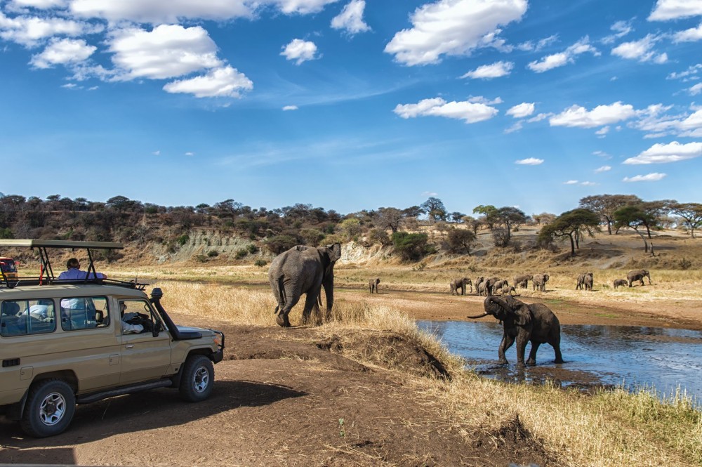 Lake Nakuru National Park Day Tour from Nairobi | ®ExcursionMania