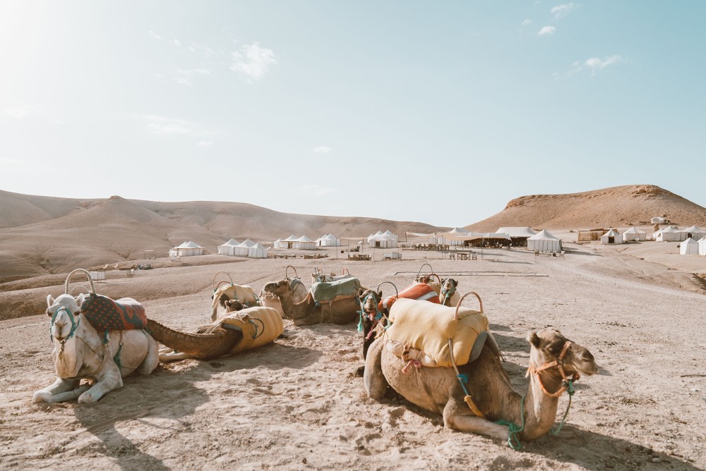 4 Days Trip From Marrakech to Chefchaouen via the Sahara | ®ExcursionMania