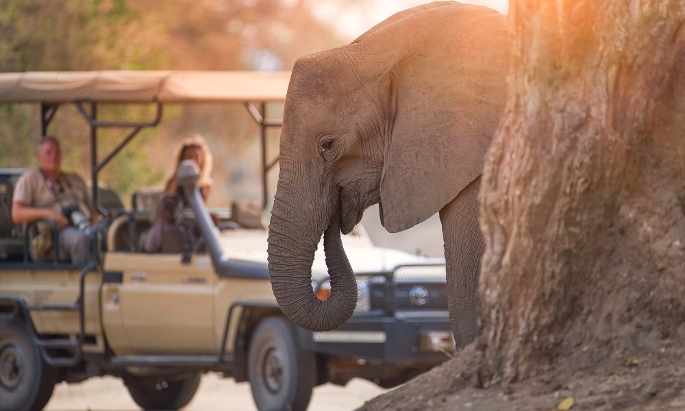 Nairobi National Park, Elephant Orphanage, Giraffe Centre Tour | ®ExcursionMania