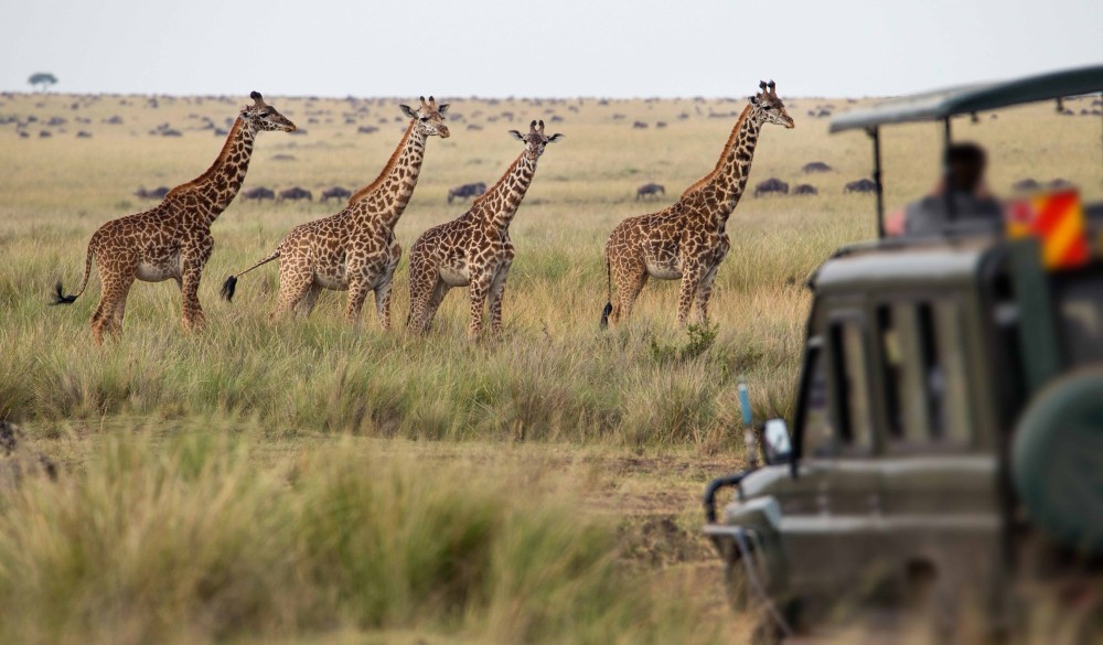 Nairobi National Park, Elephant Orphanage, Giraffe Centre Tour | ®ExcursionMania