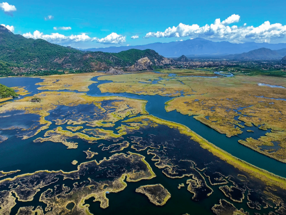 Icmeler Turtle Beach Tour W/ Mud Baths & River Cruise | ®ExcursionMania
