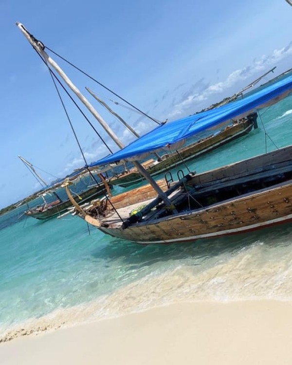 Safari blue Zanzibar by sailing dhow trip | ®ExcursionMania